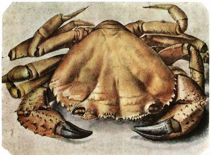 Albrecht Durer Lobster 1495 Watercolour and gouache Spain oil painting art